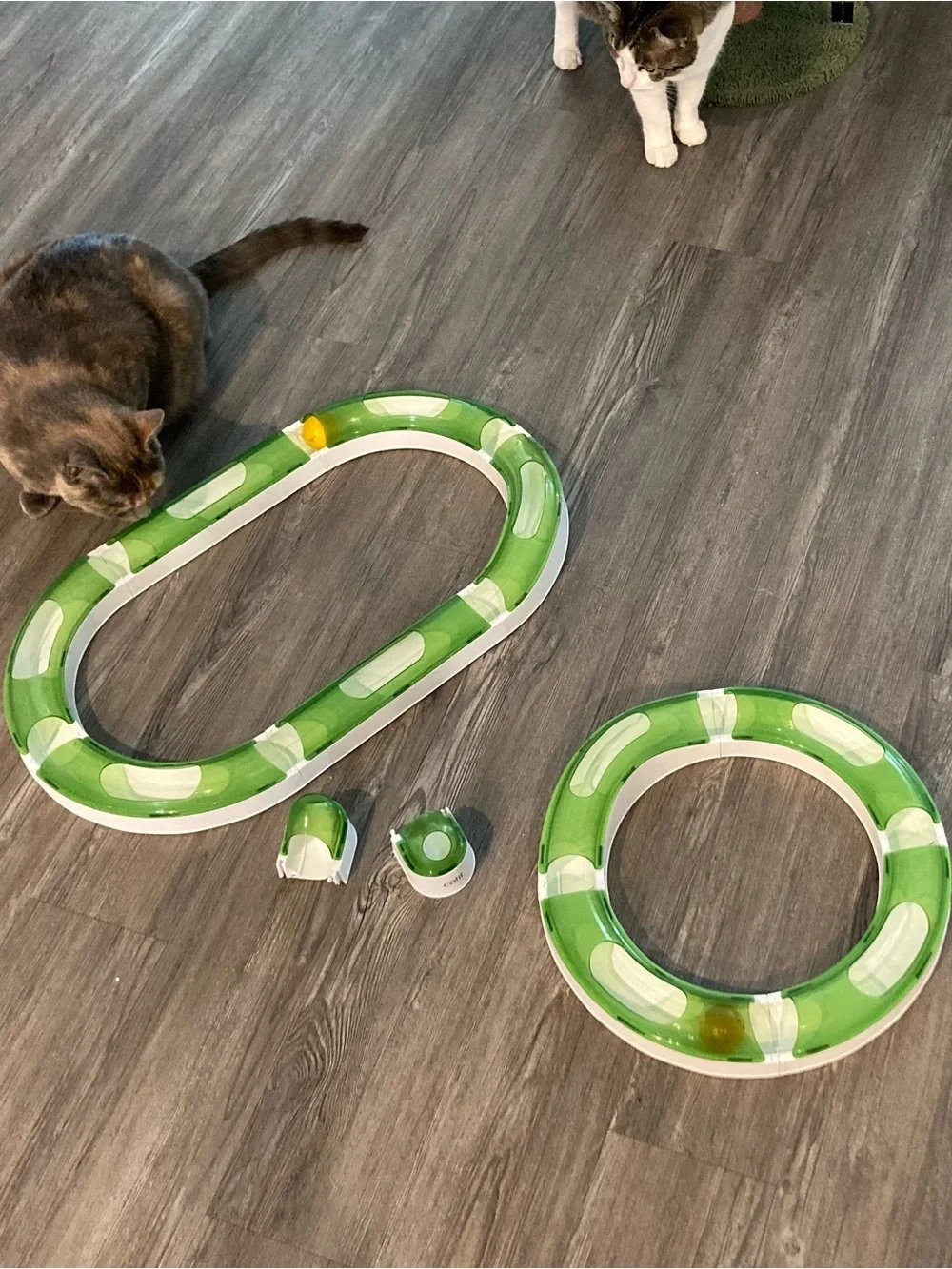 Interactive Cat Track Toy - 14 Piece Set